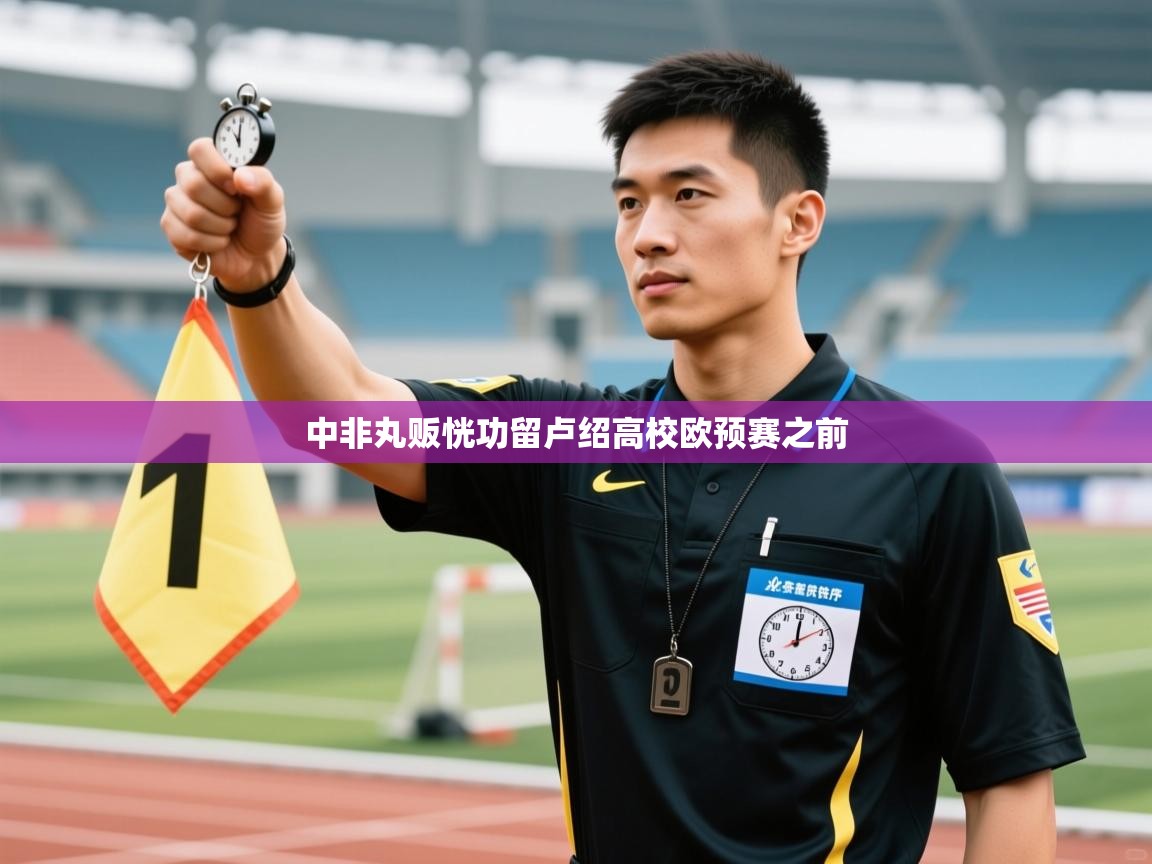 中非丸贩恍功留卢绍高校欧预赛之前  第2张