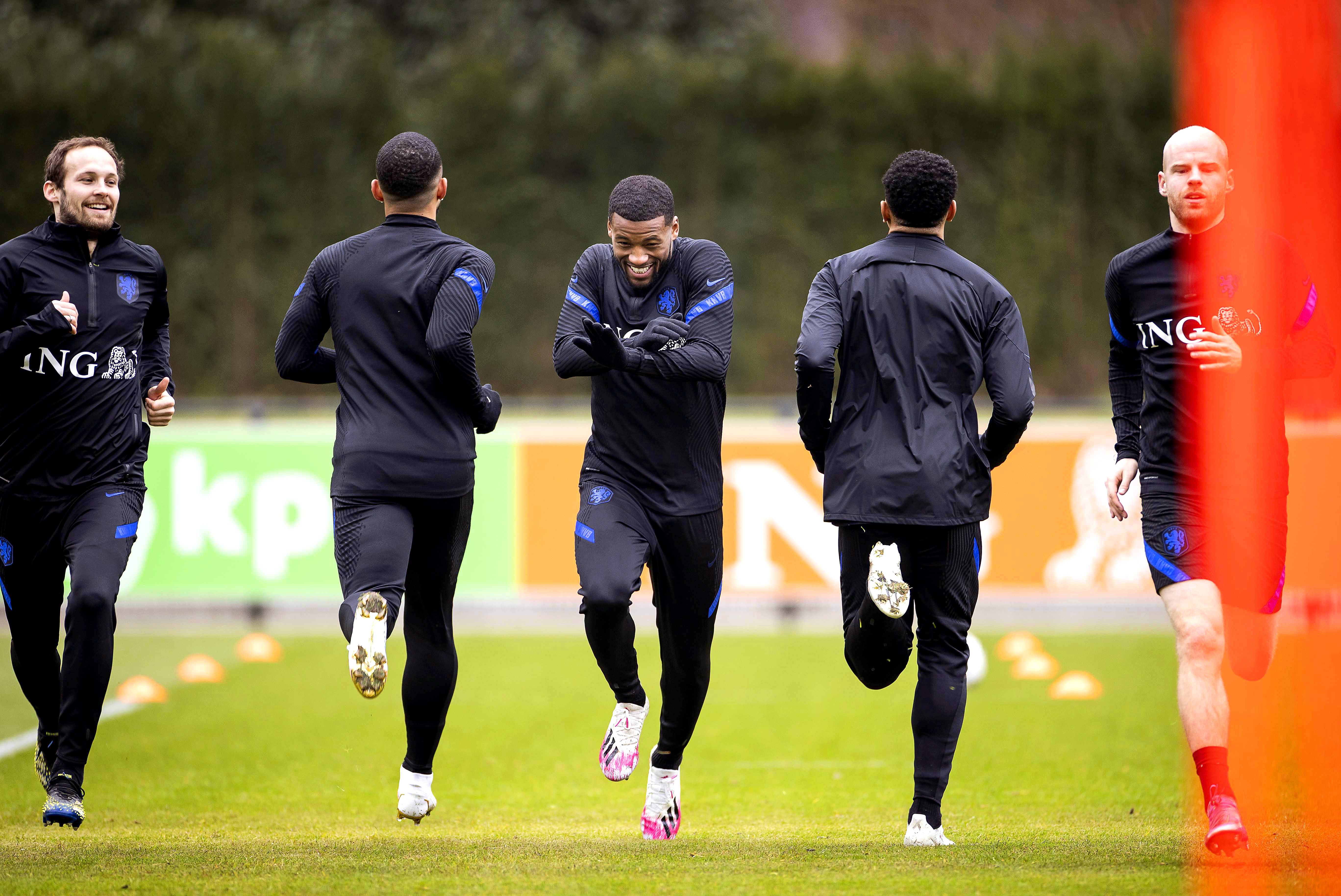 荷兰对阵蒙特尼哥,备战进行中 荷兰对阵蒙特尼哥,备战进行中