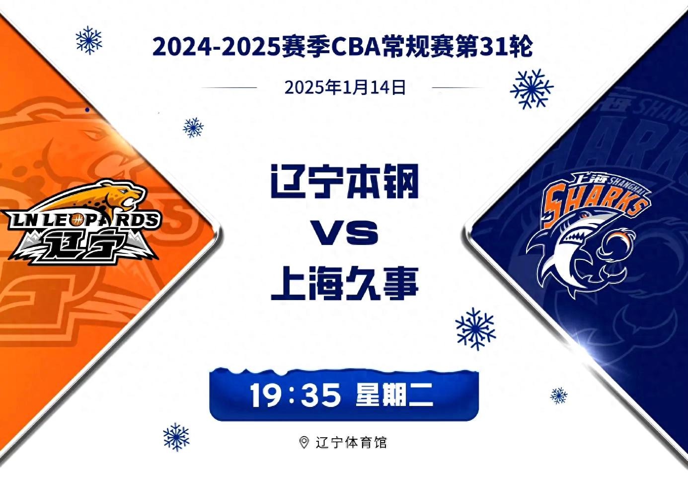 关于辽宁男篮拿下关键胜利，晋级季后赛前夕的信息